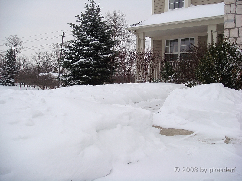 004 A2 Snowfall & Trees [2008 Dec 20].JPG - Digging out after a big snowfall in Ann Arbor, Michigan.